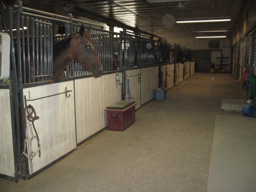 Property photo 26 - 80 Acres Offered in 4 Tracts - Horse Farm